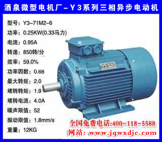 0.25KW ���� Y3ϵ�������첽�綯�� Y3-71M2-6